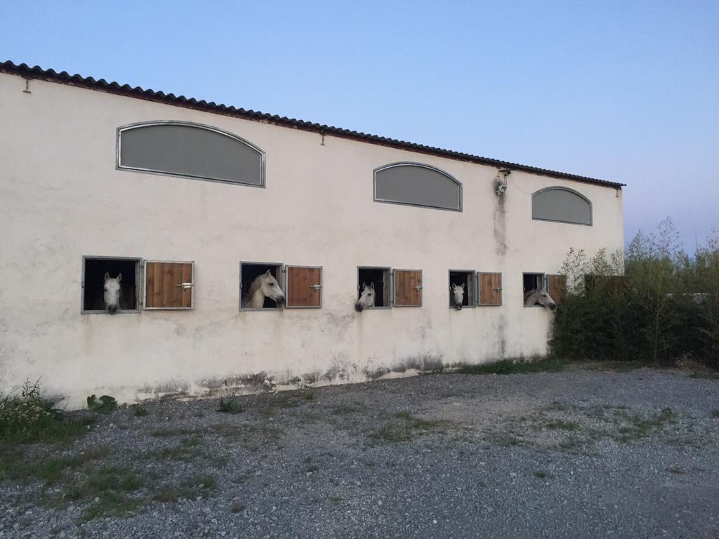 Mas Albert Espelly Saintes-Maries-de-la-Mer Exterior photo